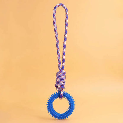 Interactive Training Pet Toy - Spiked Ring for Dog Dental Care and Hygiene Supplies