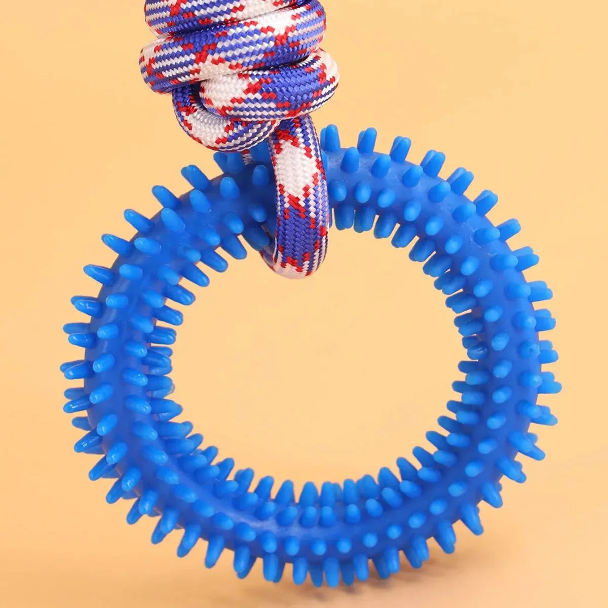 Interactive Training Pet Toy - Spiked Ring for Dog Dental Care and Hygiene Supplies